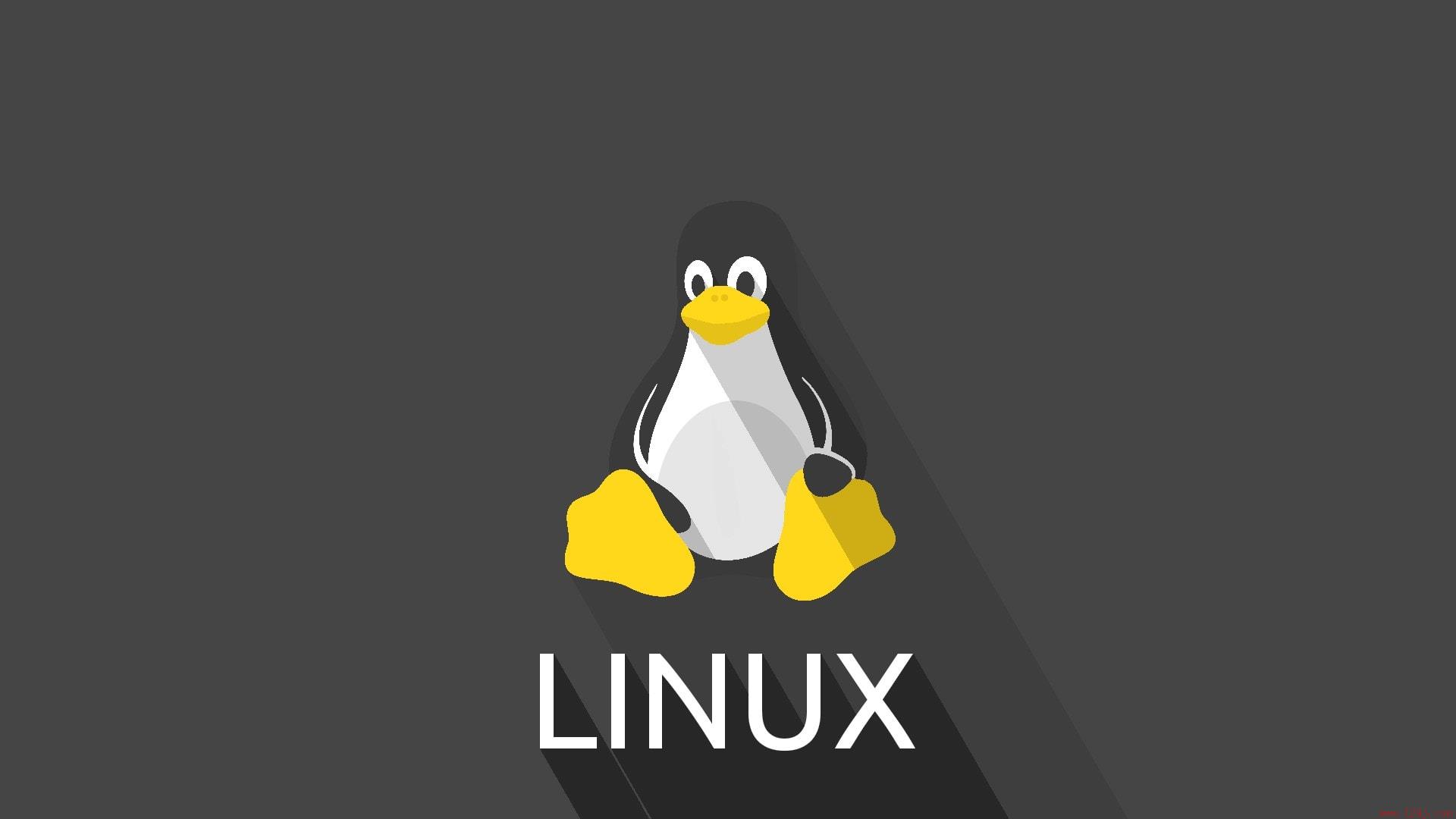 Linux 系统 linux system