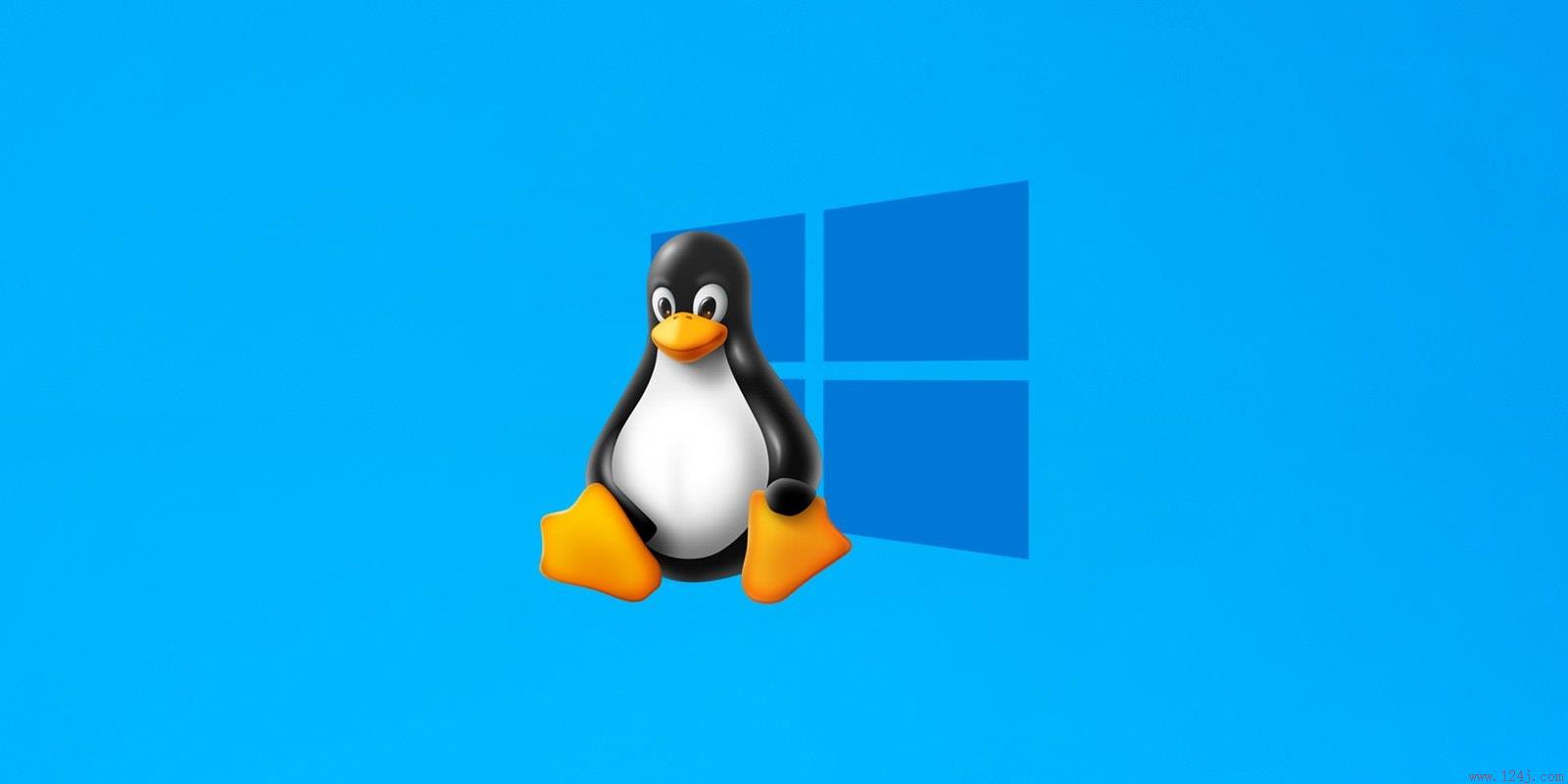 Linux 系统和 Windows 系统 Linux and Windows systems