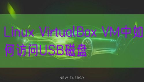 Linux VirtualBox VM中如何访问USB磁盘