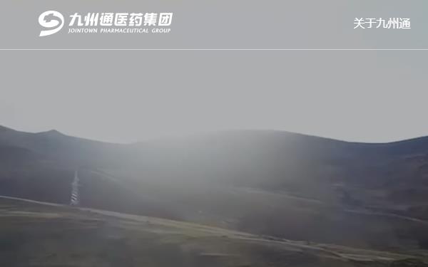 九州通医药集团股份有限公司