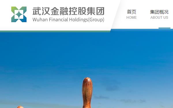 武汉金融控股(集团)有限公司